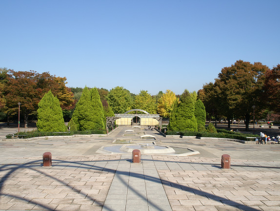写真9